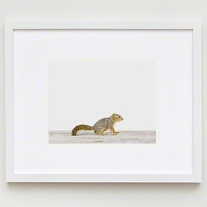 The Animal Print Shopwww.theanimalprintshop.com