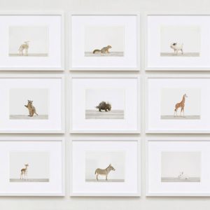 Baby-animal-prints-nursery-art-3.php