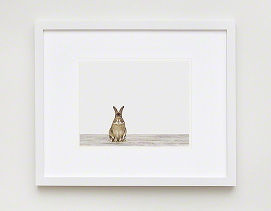 The Animal Print Shopwww.theanimalprintshop.com