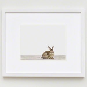 The Animal Print Shopwww.theanimalprintshop.com