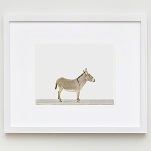 The Animal Print Shopwww.theanimalprintshop.com