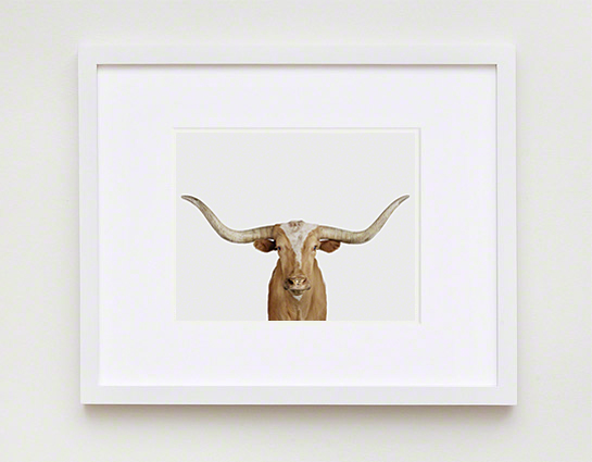 The Animal Print Shop by Sharon Montrose