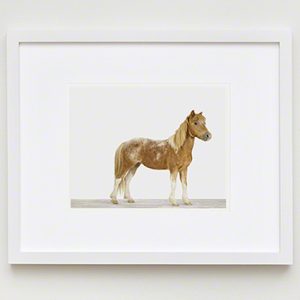 The Animal Print Shopwww.theanimalprintshop.com