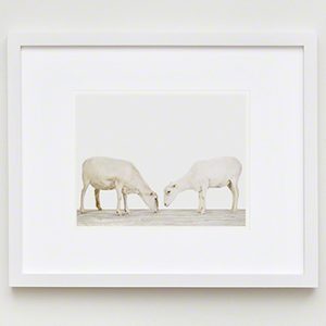 The Animal Print Shopwww.theanimalprintshop.com