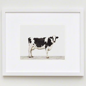 The Animal Print Shopwww.theanimalprintshop.com