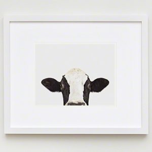 The Animal Print Shopwww.theanimalprintshop.com