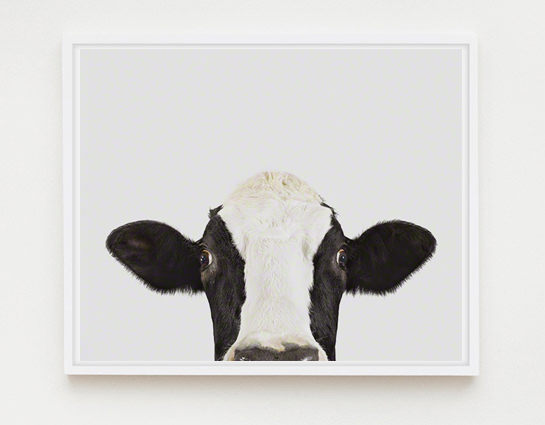 The Animal Print Shopwww.theanimalprintshop.com