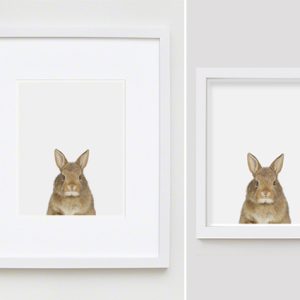 The Animal Print Shopwww.theanimalprintshop.com