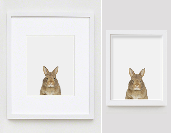 The Animal Print Shopwww.theanimalprintshop.com