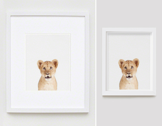 The Animal Print Shopwww.theanimalprintshop.com