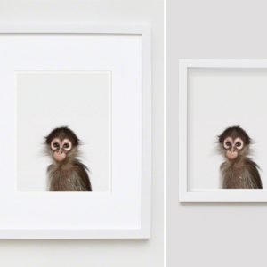 The Animal Print Shopwww.theanimalprintshop.com