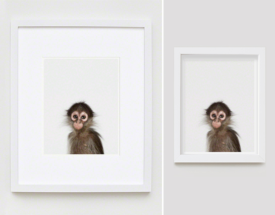 The Animal Print Shopwww.theanimalprintshop.com