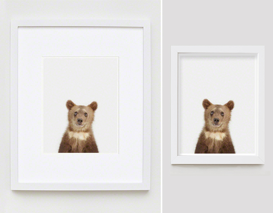 The Animal Print Shopwww.theanimalprintshop.com