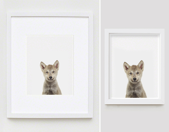 The Animal Print Shopwww.theanimalprintshop.com