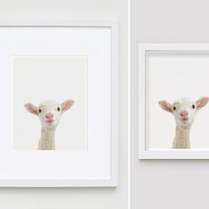 The Animal Print Shopwww.theanimalprintshop.com