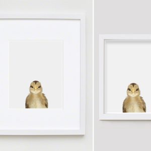 The Animal Print Shopwww.theanimalprintshop.com