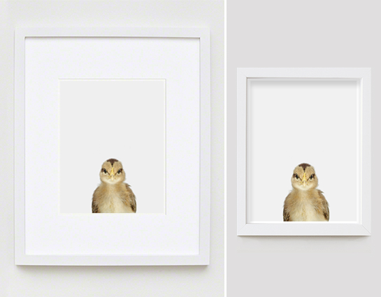 The Animal Print Shopwww.theanimalprintshop.com