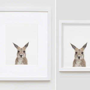 The Animal Print Shopwww.theanimalprintshop.com