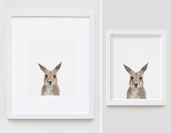 The Animal Print Shopwww.theanimalprintshop.com