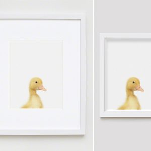 The Animal Print Shopwww.theanimalprintshop.com