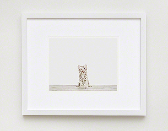 The Animal Print Shopwww.theanimalprintshop.com