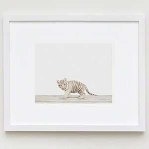 The Animal Print Shopwww.theanimalprintshop.com