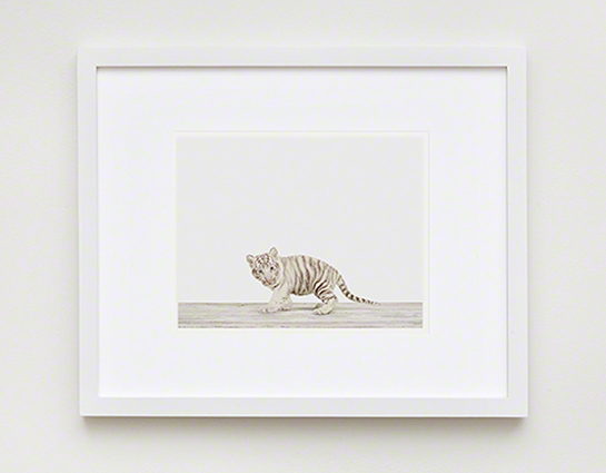 The Animal Print Shopwww.theanimalprintshop.com