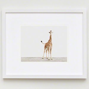 The Animal Print Shopwww.theanimalprintshop.com