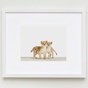 baby-animal-prints-nursery-art