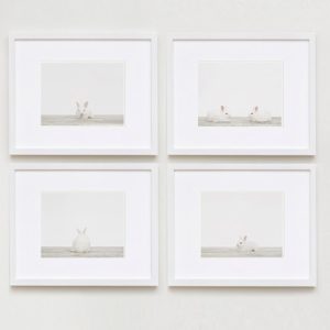 baby-animal-prints-nursery-art-3.php