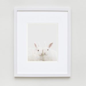 sharon-montrose-animal-photography-01