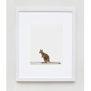 The Animal Print Shopwww.theanimalprintshop.com