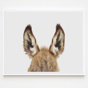 The Animal Print Shopwww.theanimalprintshop.com