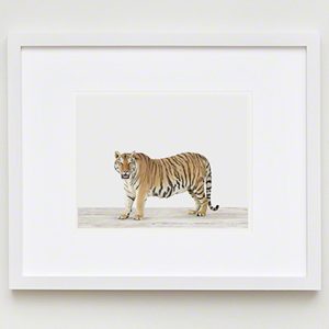 The Animal Print Shopwww.theanimalprintshop.com