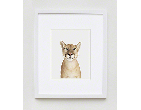 The Animal Print Shopwww.theanimalprintshop.com