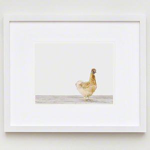 The Animal Print Shopwww.theanimalprintshop.com