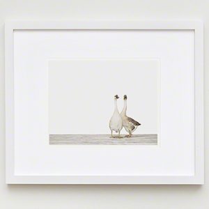 The Animal Print Shopwww.theanimalprintshop.com