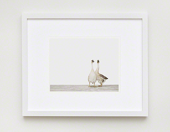 The Animal Print Shopwww.theanimalprintshop.com