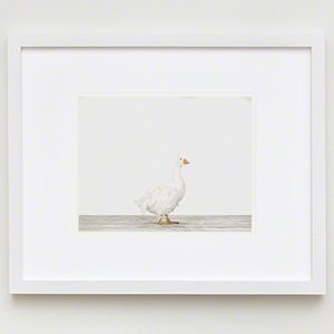 The Animal Print Shopwww.theanimalprintshop.com