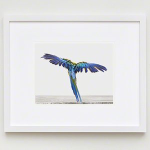 The Animal Print Shopwww.theanimalprintshop.com