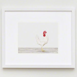 The Animal Print Shopwww.theanimalprintshop.com