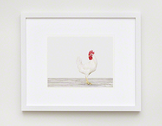 The Animal Print Shopwww.theanimalprintshop.com