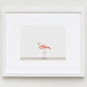 The Animal Print Shopwww.theanimalprintshop.com