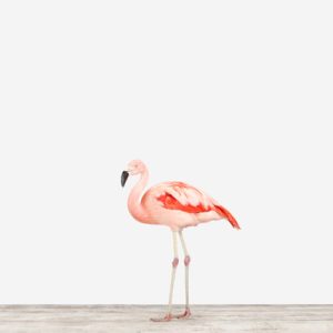 Flamingo No. 1